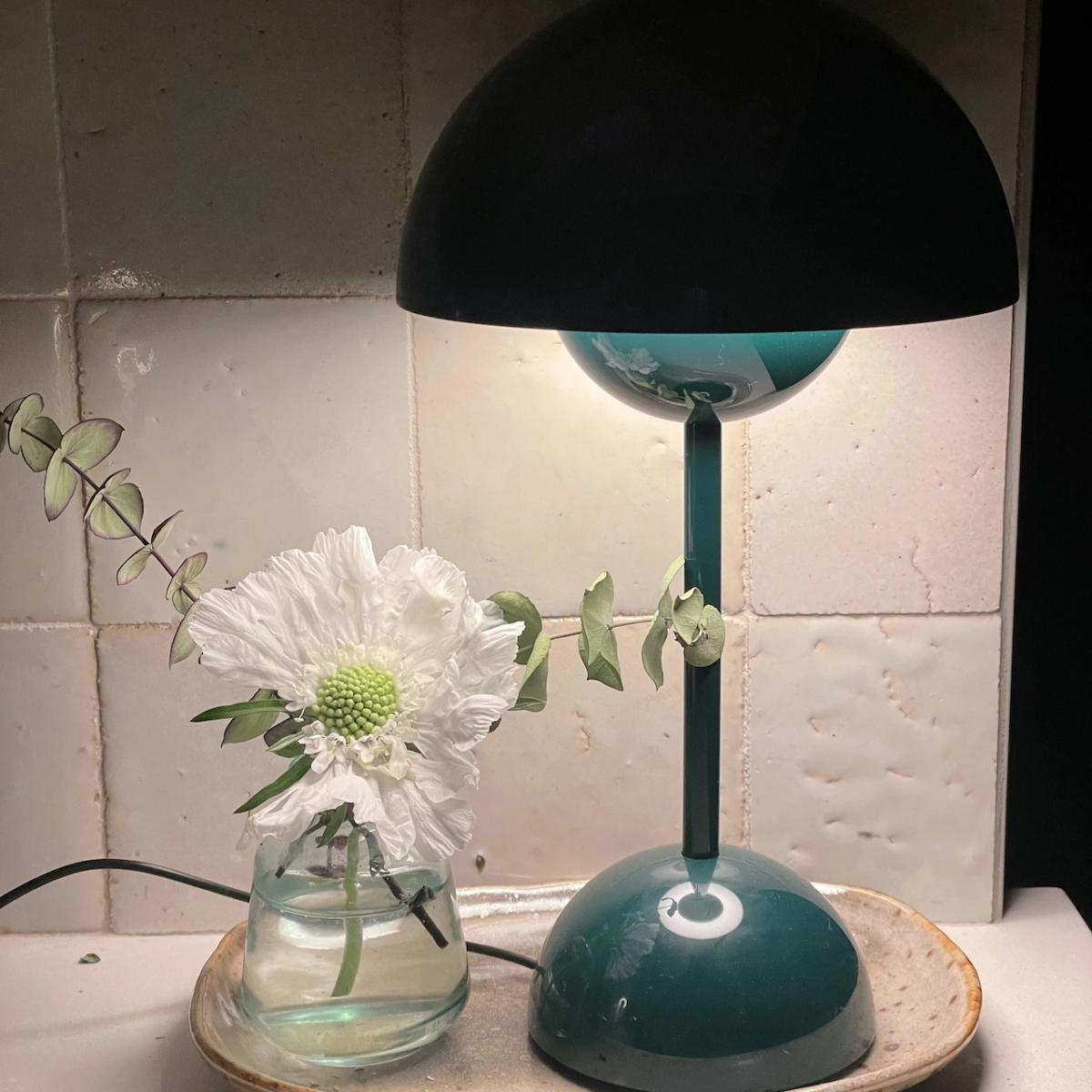 Fix it - Break It! Lamp Repair Workshop