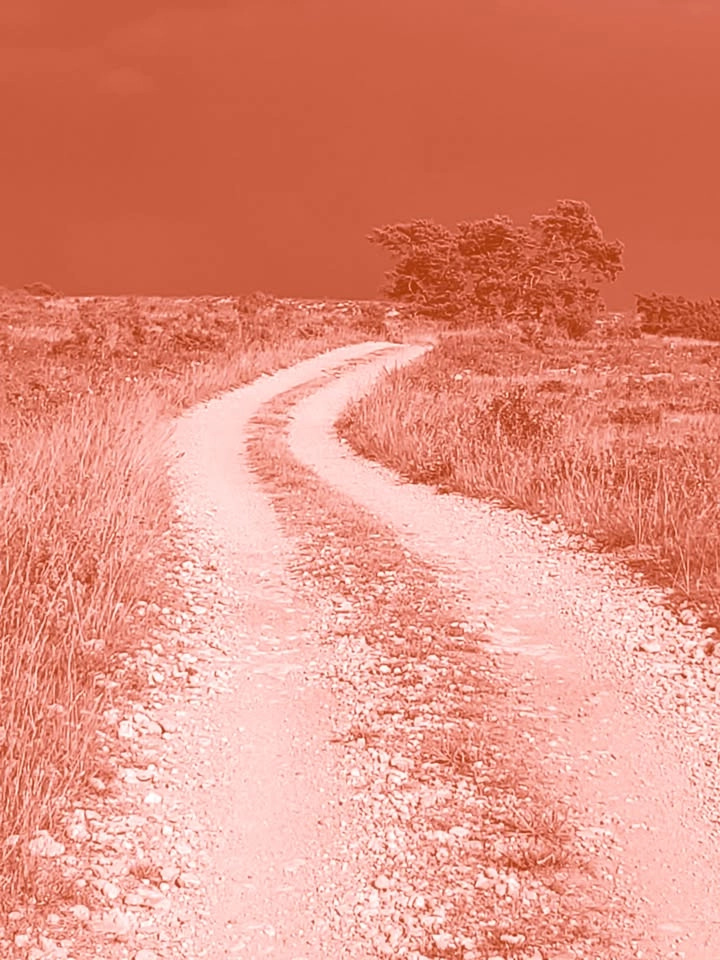 Intåg i sommarhagen