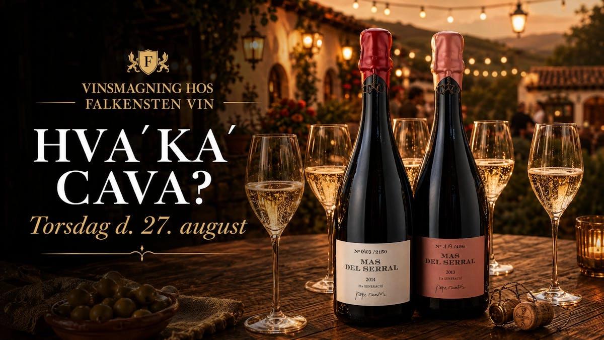 Hva´ka´Cava?