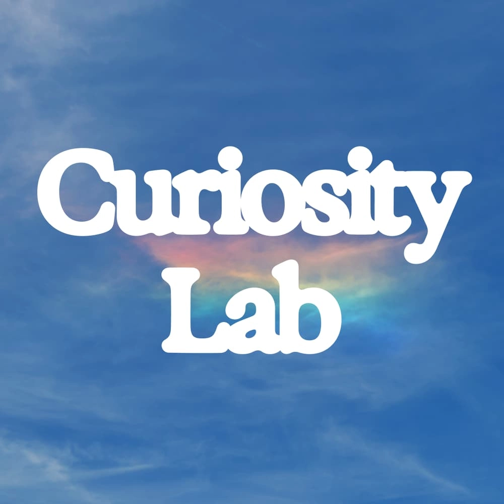 🌀 Curiosity Lab ~ Last Drop-In Session