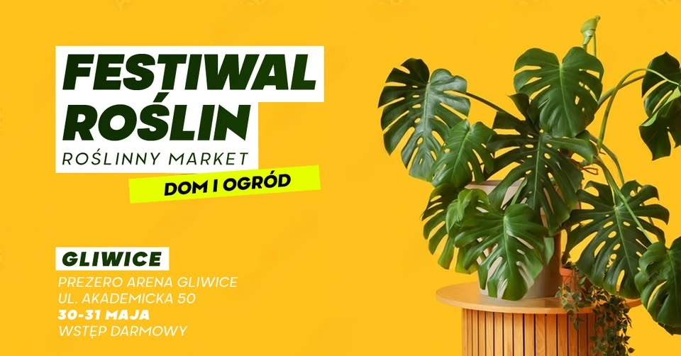 Festiwal Roślin w Gliwicach - wielki market roślin w supercenach