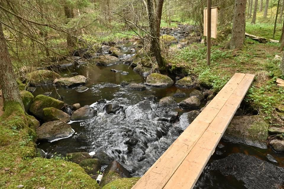 Porlande vatten och djupa skogar