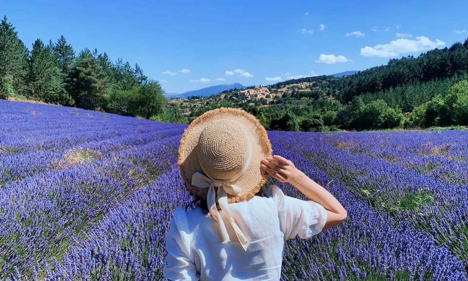 Her Pages in Provence (Write-cation)