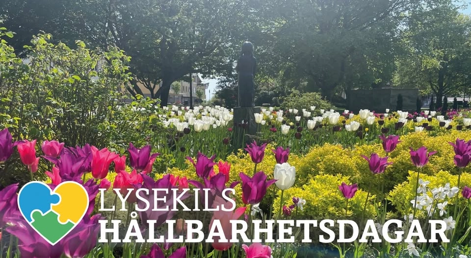 Lysekils skräpplockarvecka