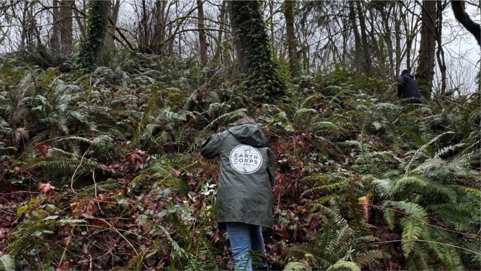 SAM Talks: Finding Diversity in Environmental Restoration