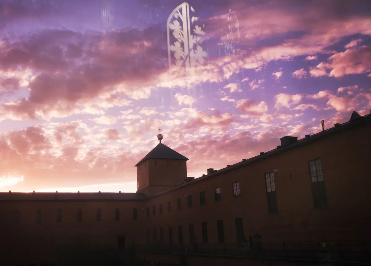 Indiepop, guldbar och Völvans magi