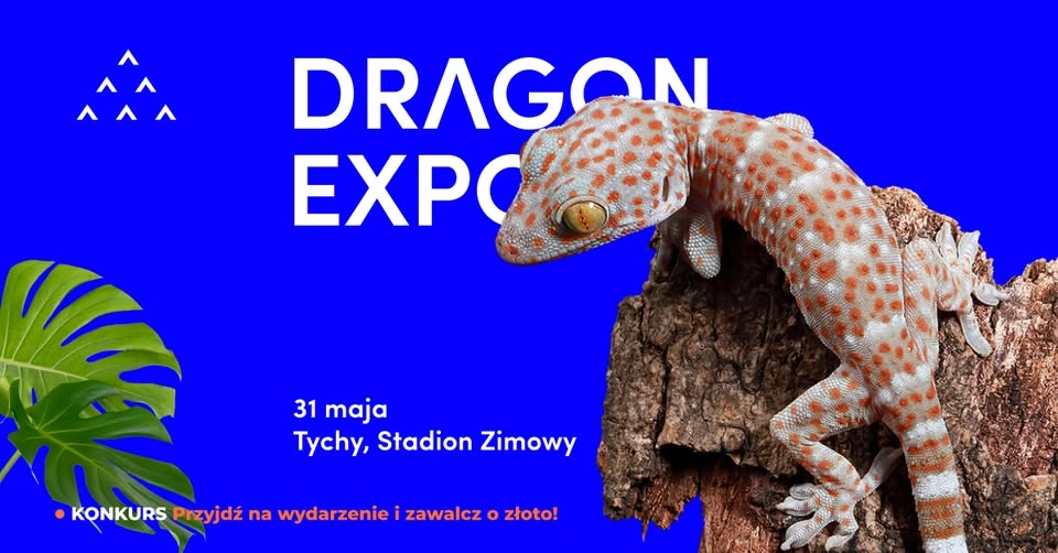 Event Terrarystyczny i Botaniczny Dragon Expo / Tychy