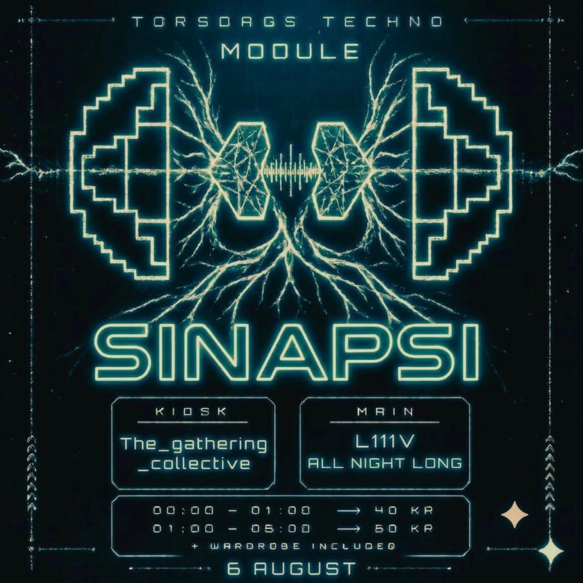 SINAPSI @ MODULE