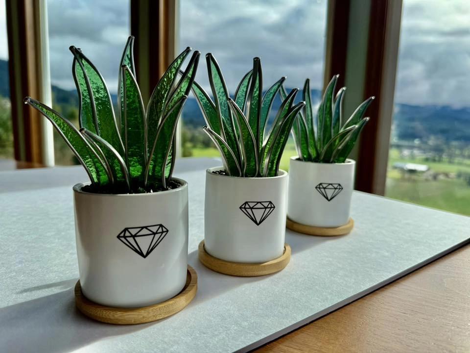 Stained Glass Plant Workshop