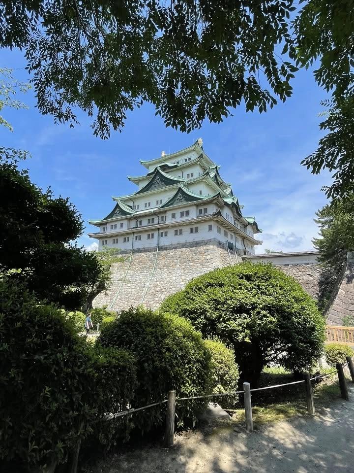 Grand Japan Group Cruise