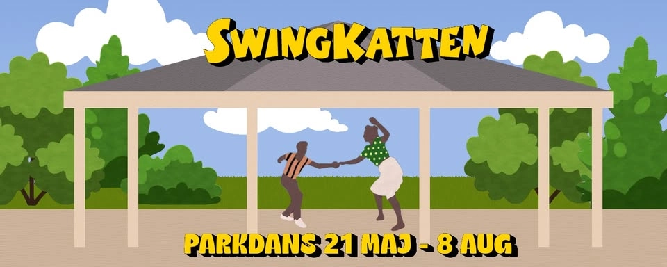 Parkdans med Swingkatten