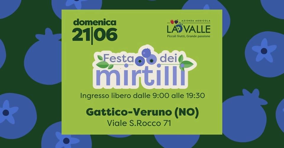 Festa dei mirtilli