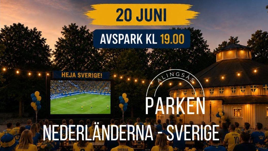 Fotbolls VM Nederländerna-Sverige på STORBILD 20/6