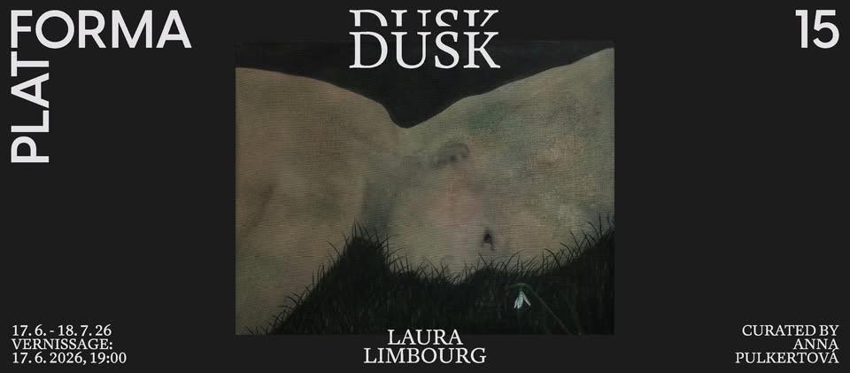 Vernisáž výstavy: Laura Limbourg - Dusk