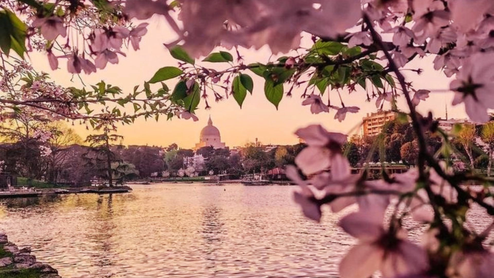 Un altro mondo | Cerchio di condivisione all'aperto