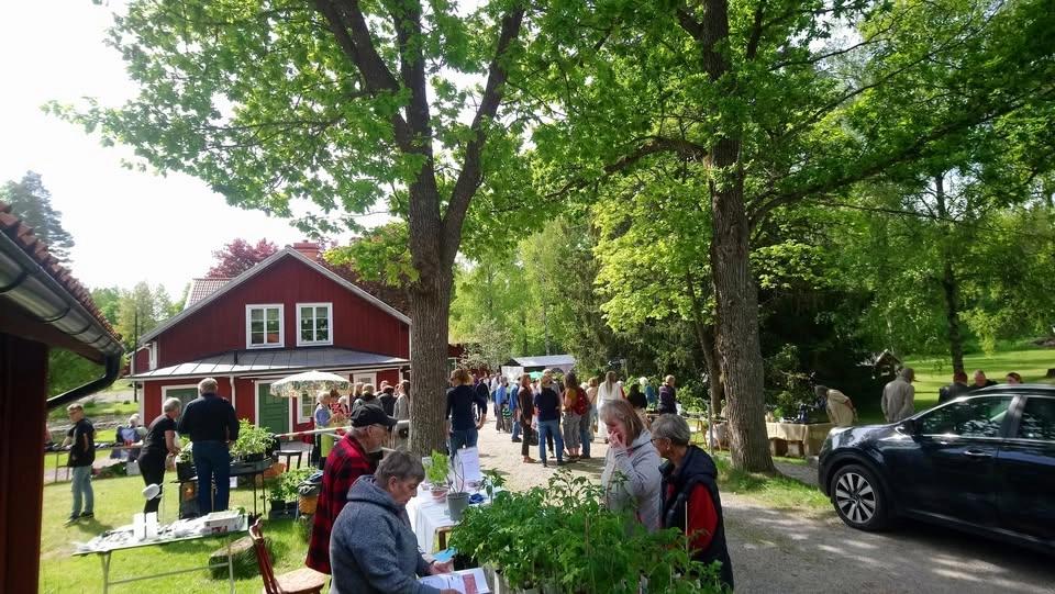 Plantmarknad på Karlberg