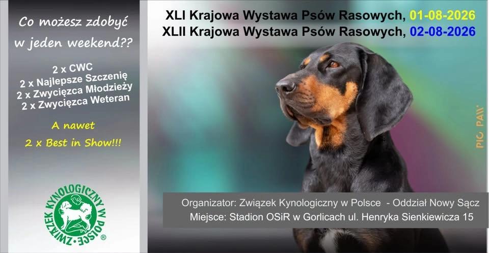41 i 42 Krajowa Wystawa Psów Rasowych (Gorlice - ZKwP O/Nowy Sącz) - 01.08.-02.08.2026