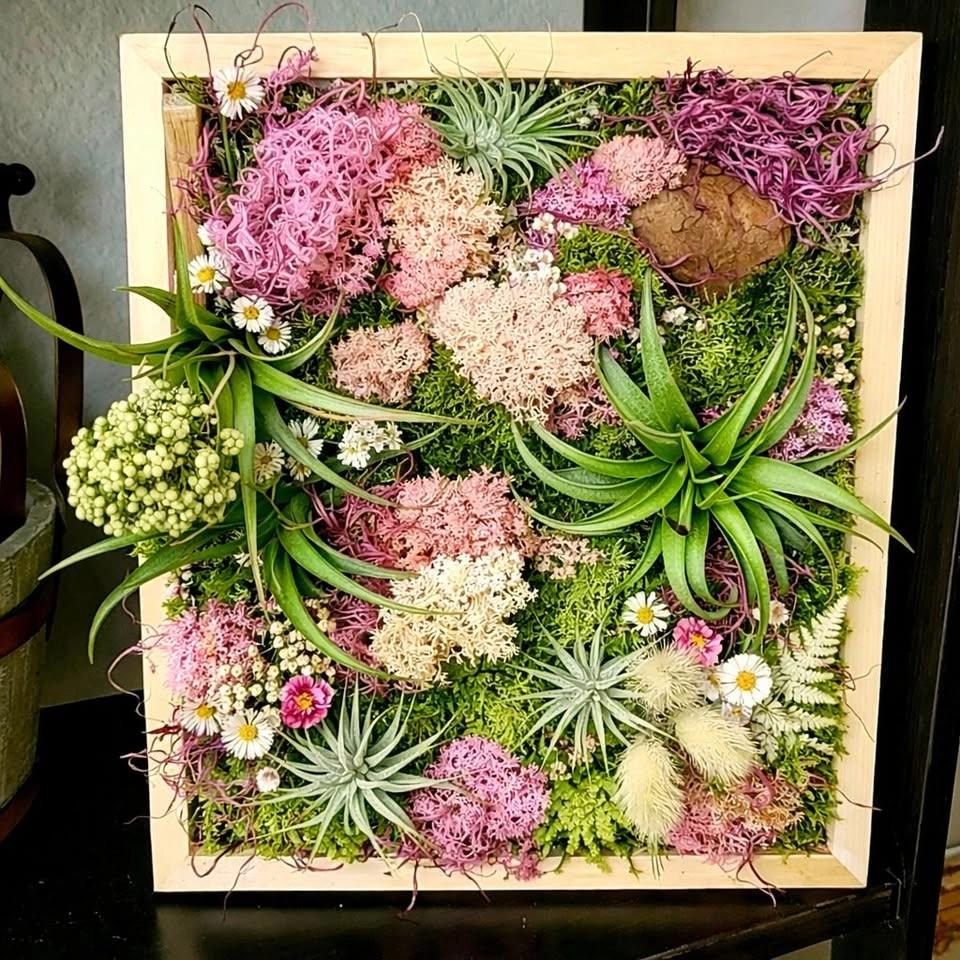 07/30/2026 Spring into Airplants at Denton CBC - 7 p.m.