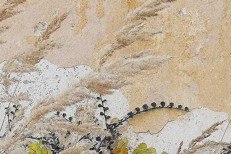 Podoba flóry – výstava fotografií