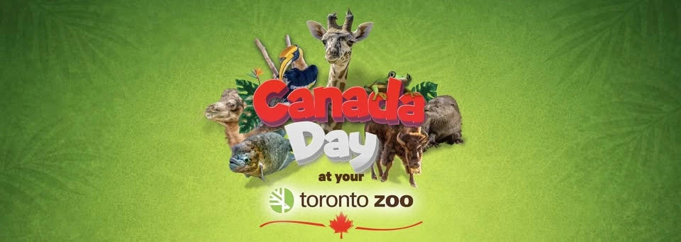 Canada Day at Your Toronto Zoo 🇨🇦
