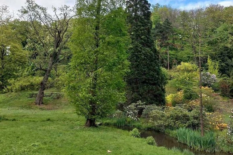 Malešice včetně neznámé botanické zahrady