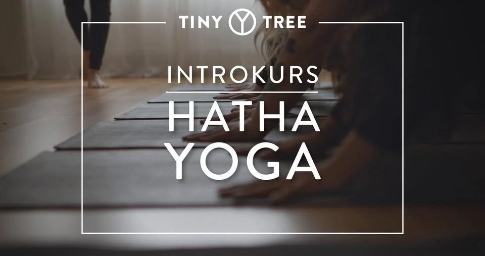 INTRODUKTION TILL YOGA