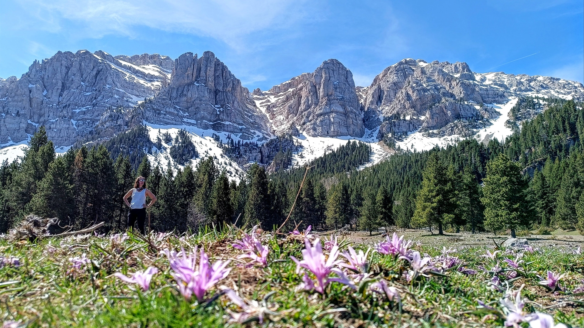 🌸Prat de Cadí en flor🌲Weekend Cerdanya ☀️2D/1N🌙