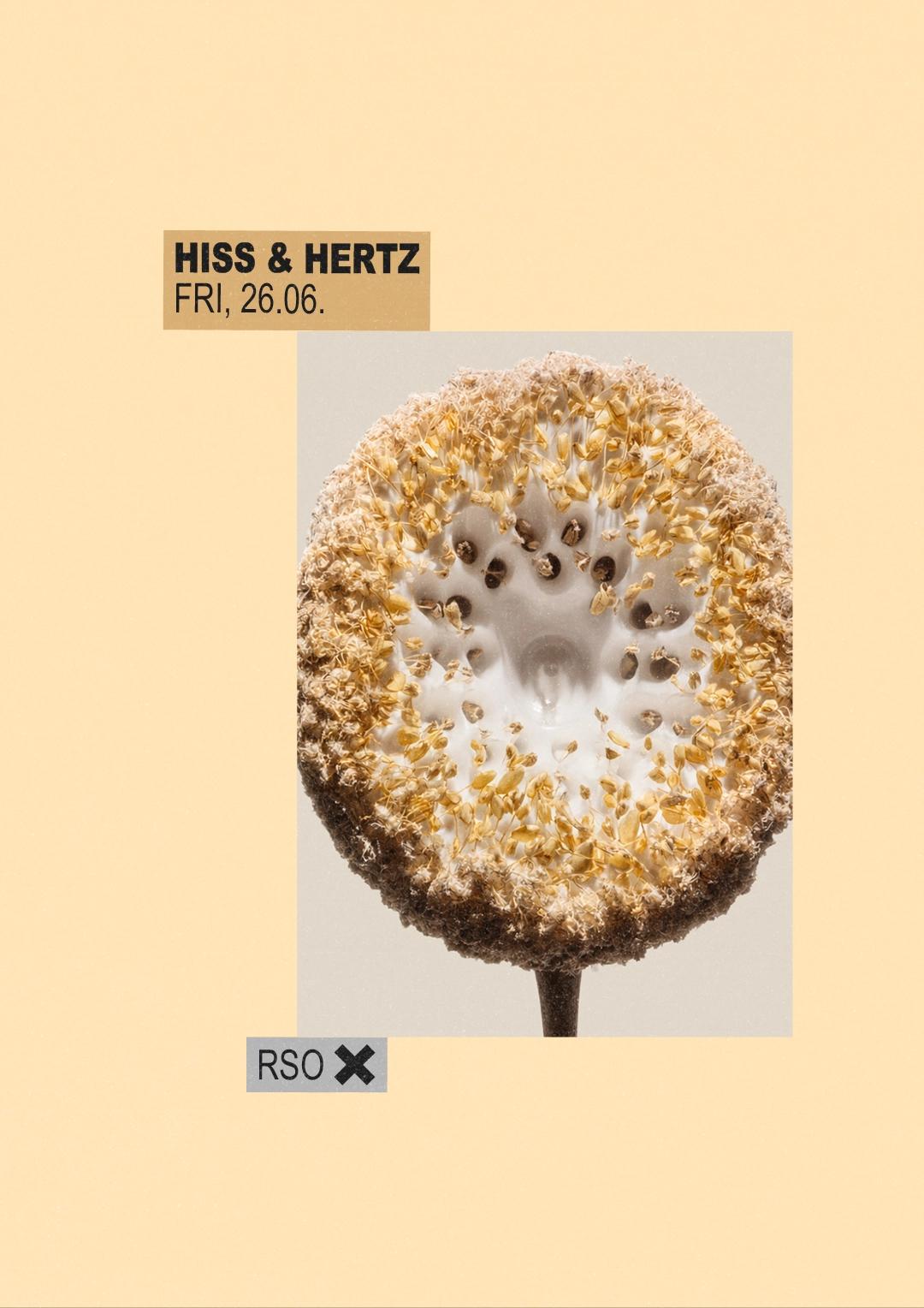Hiss & Hertz w/ Colin Benders live, Akua, Estella Boersma & Stephanie Sykes
