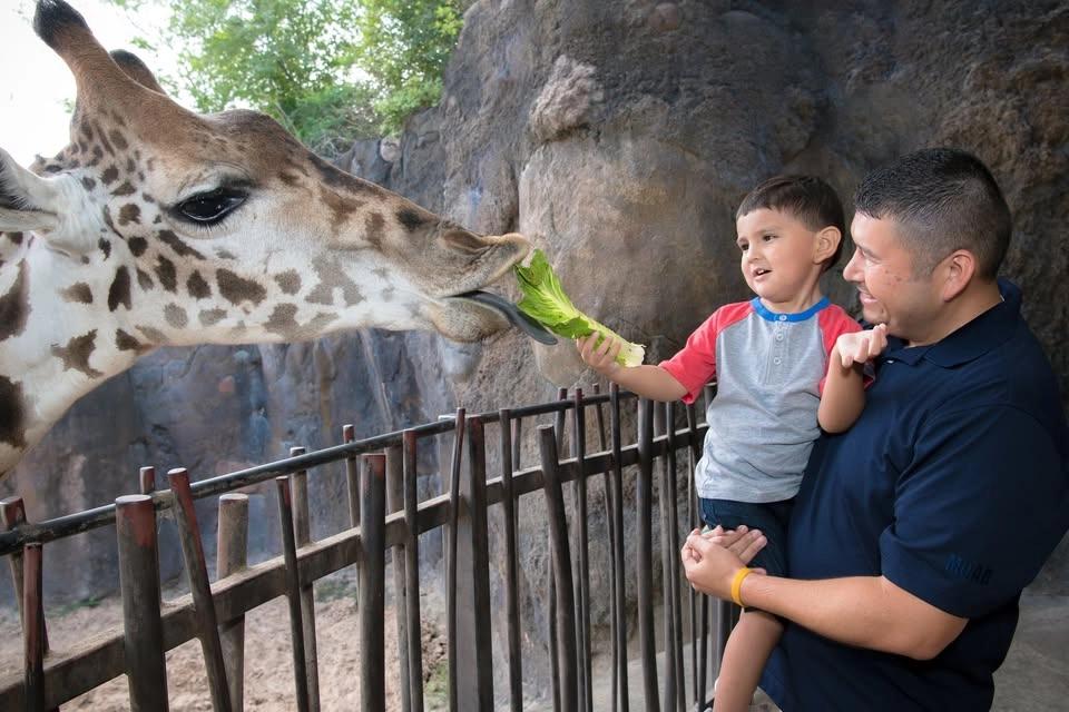 Father’s Day at Houston Zoo