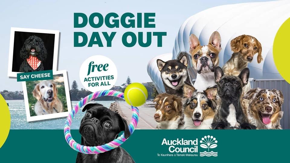 Doggie Day Out - Queens Wharf