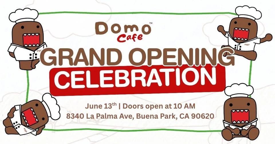 Domo Cafe Grand Opening