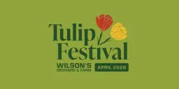 Wilson's Tulip Festival! 🌷💐🌼