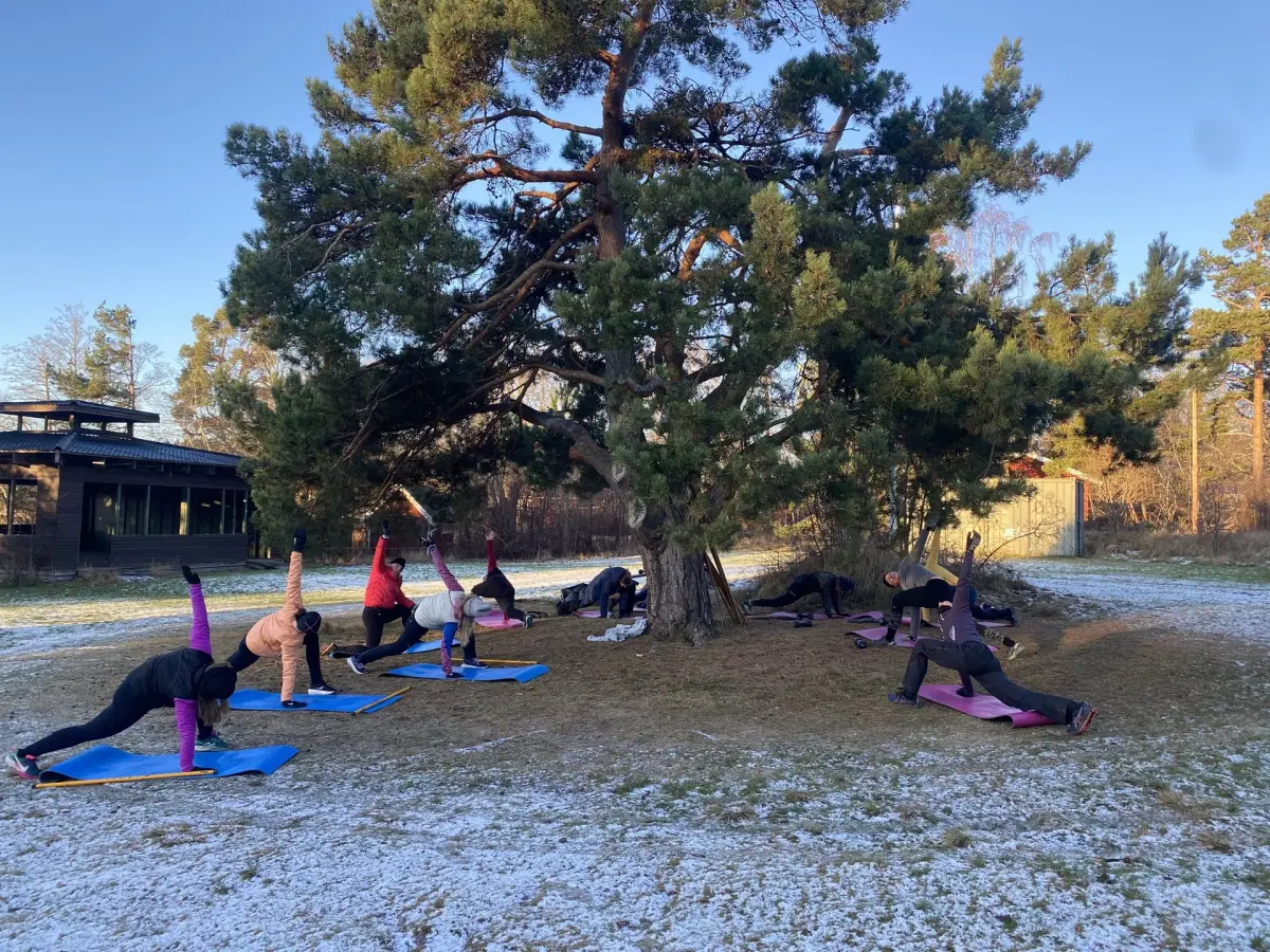 MDM Flex & Core fredag 11.30