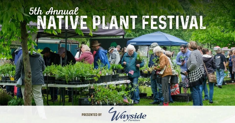Native Plant Festival