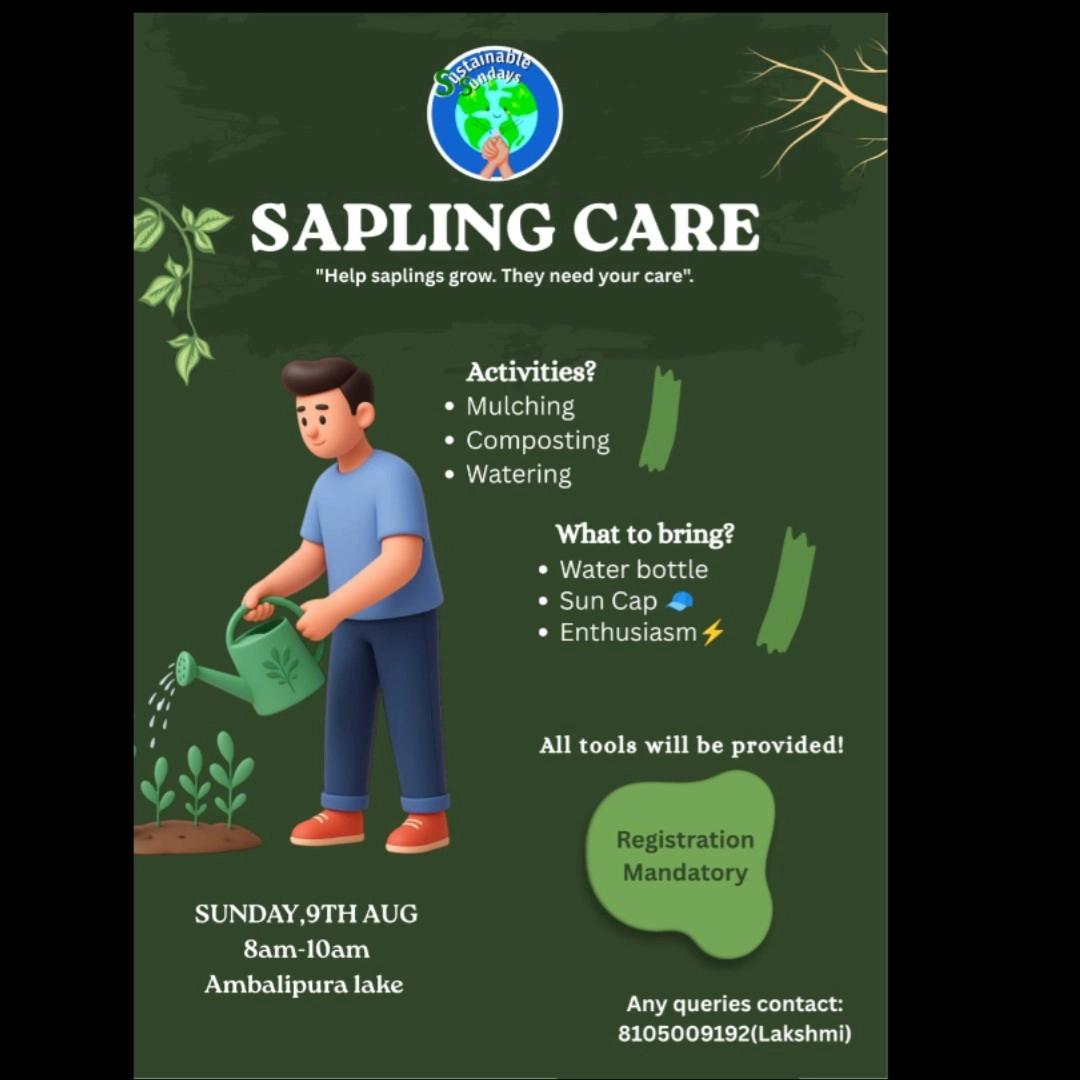 Sapling Care Sunday