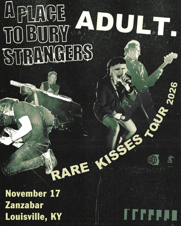 A Place To Bury Strangers & ADULT. at Zanzabar
