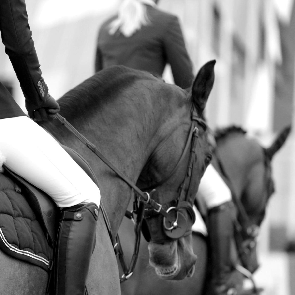 NYAandFreinds Go Horse Riding!🟢
