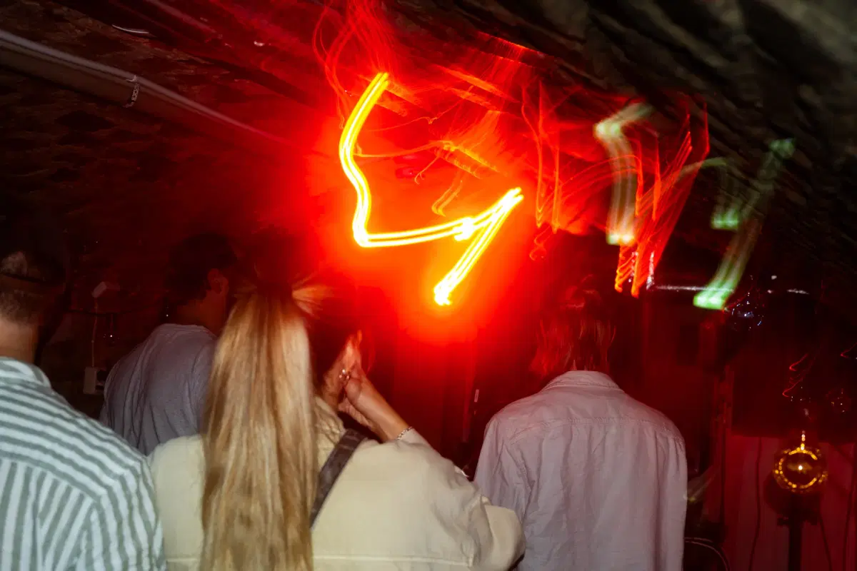 Experimentella tongångar och konsthall