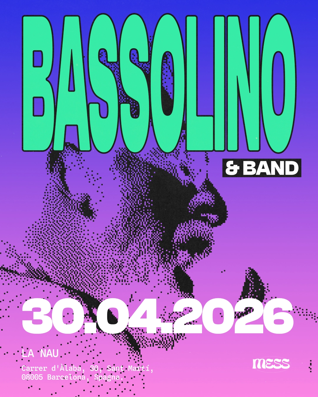 Bassolino LIVE BAND