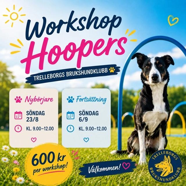 Hoopers Workshop för nybörjare