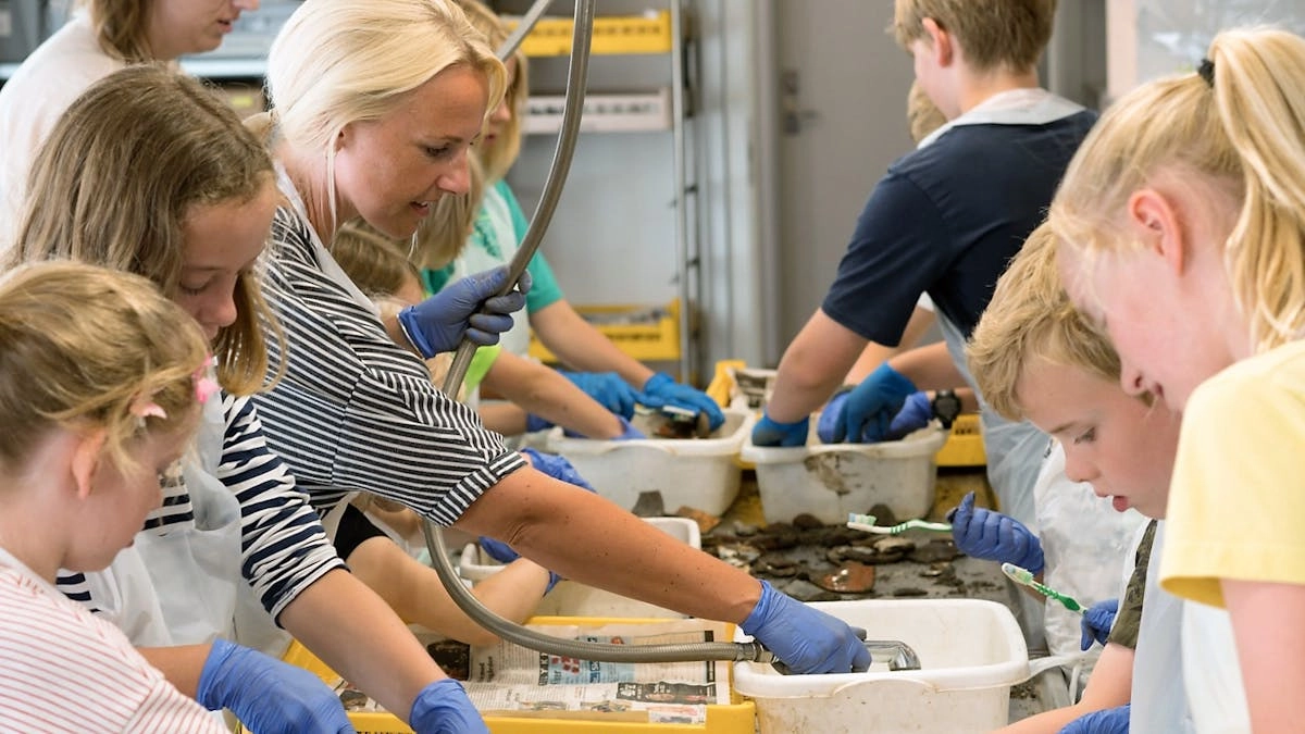 Gå til arkæologi i sommerferien - to-dags kursus