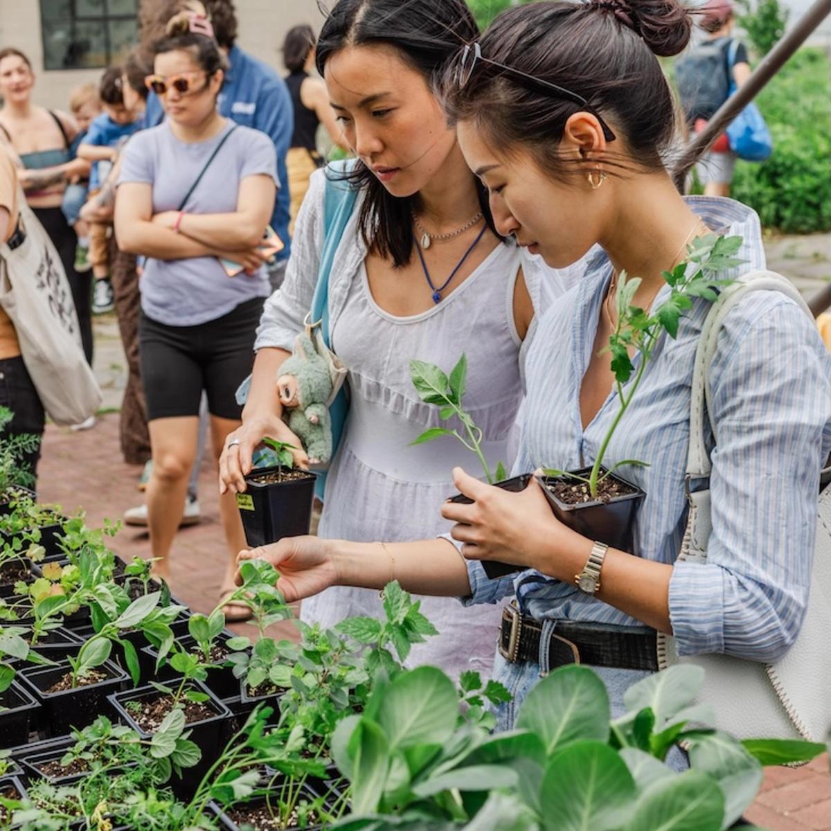 Field Notes: Ideas & Wellness Market