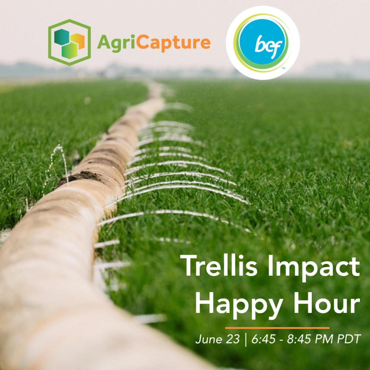 Water, Ag and Cheers Happy Hour