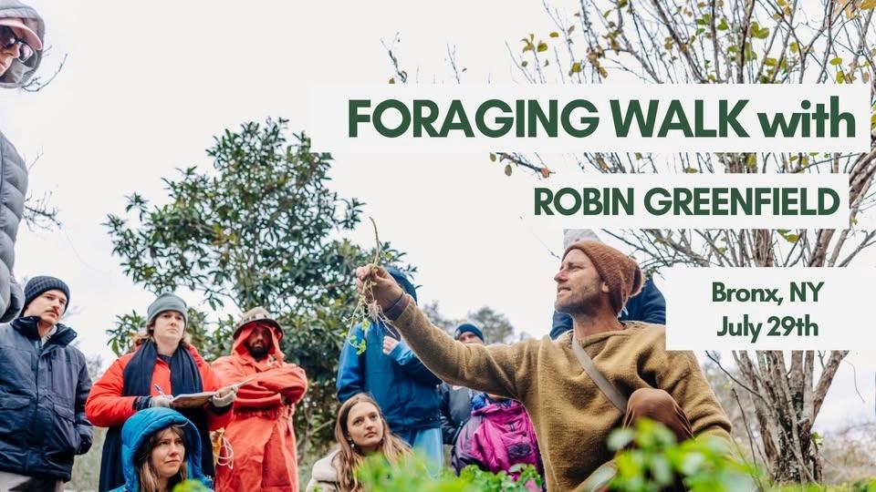 Foraging Walk with Robin Greenfield in the Bronx