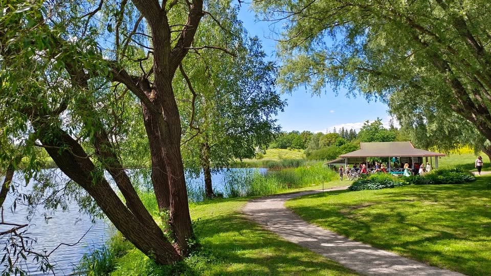 5Rhythms® Outdoor Dancing in Nature