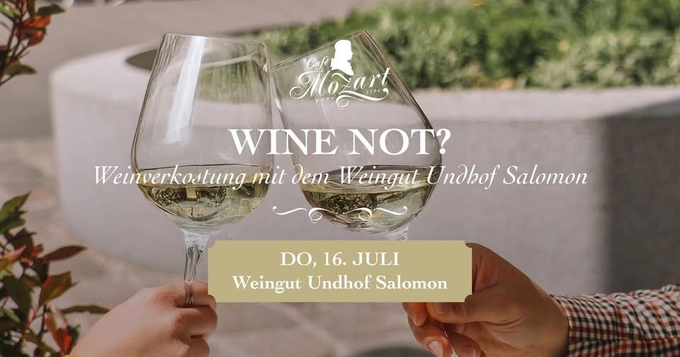 Café Mozart Weinverkostung mit dem Weingut Salomon 🍷☀