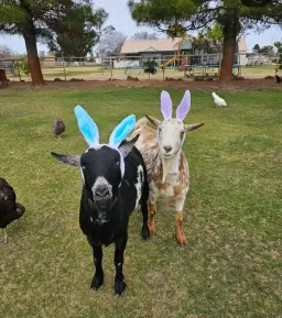 Rebel Hearts Easter Celebration