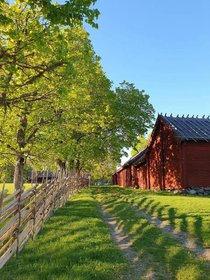 Traditionellt midsommarfirande i Härkeberga