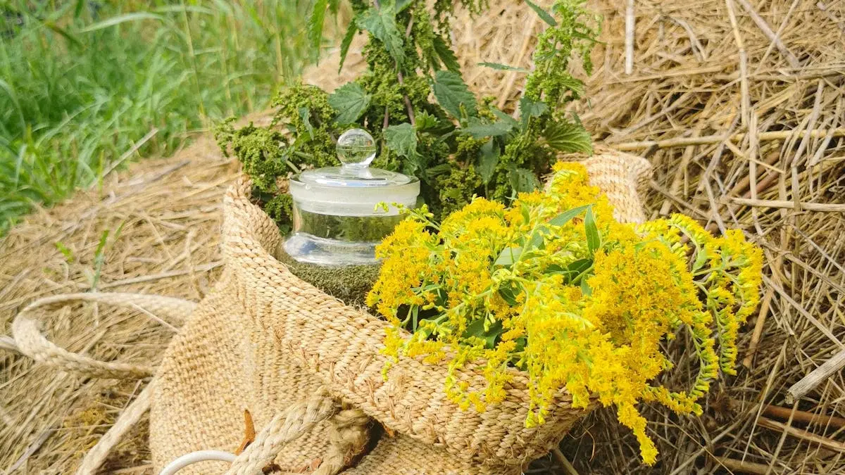 Utterslev mose: Urtevandringer og sanketure