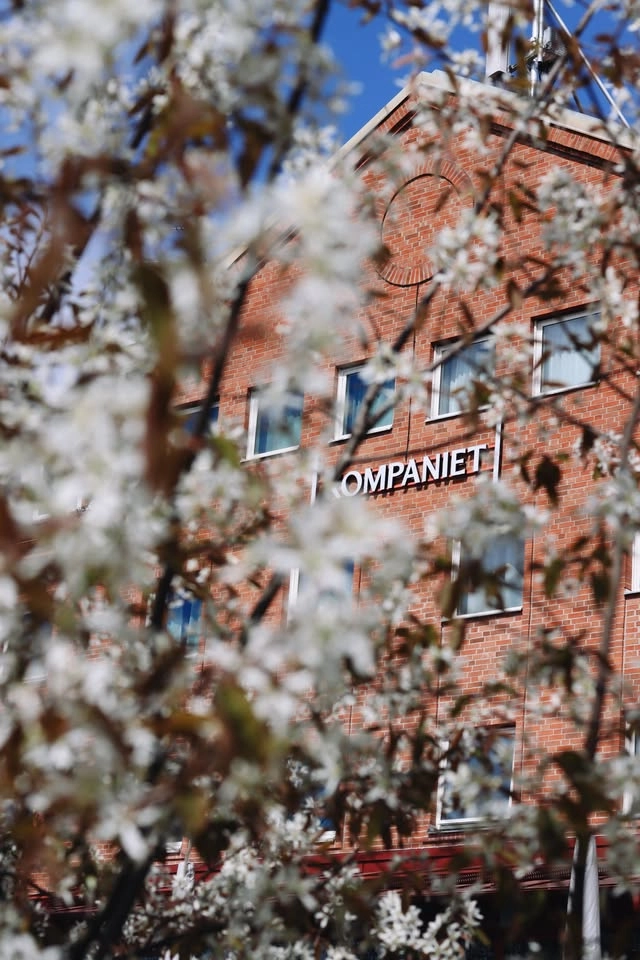 Kulturnatt på Kompaniet